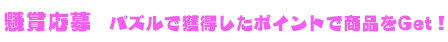 懸賞応募